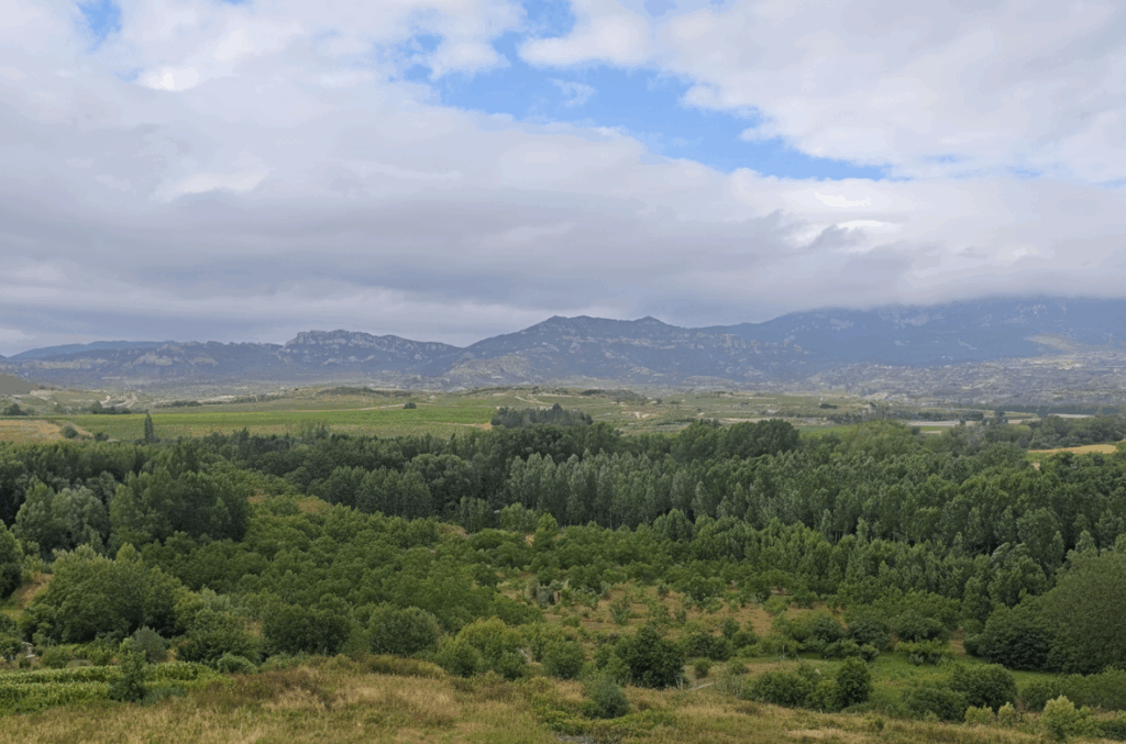 bodegas en Haro, Bodegas Haro, visitar bodegas en Haro, mejores bodegas en Haro ,arum bodegas, bodegas Arum, precios vinos rioja, vino rioja crianza barato, tienda de vino online, comprar vino la rioja, comprar vinos de rioja, bodegas en la rioja, Bodegas la rioja, vino rioja comprar, comprar vino rioja, comprar vino para regalar, comprar vino para cenas, anamcara , vino vespertilio, anamcara Hades, anamcara La Billa,