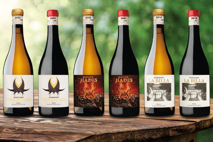 bodegas Arum, precios vinos rioja, vino rioja crianza barato, tienda de vino online, comprar vino la rioja, comprar vinos de rioja, bodegas en la rioja, Bodegas la rioja, vino rioja comprar, comprar vino rioja, comprar vino para regalar, comprar vino para cenas, bodegas en Haro, Bodegas Haro, visitar bodegas en Haro, mejores bodegas en Haro